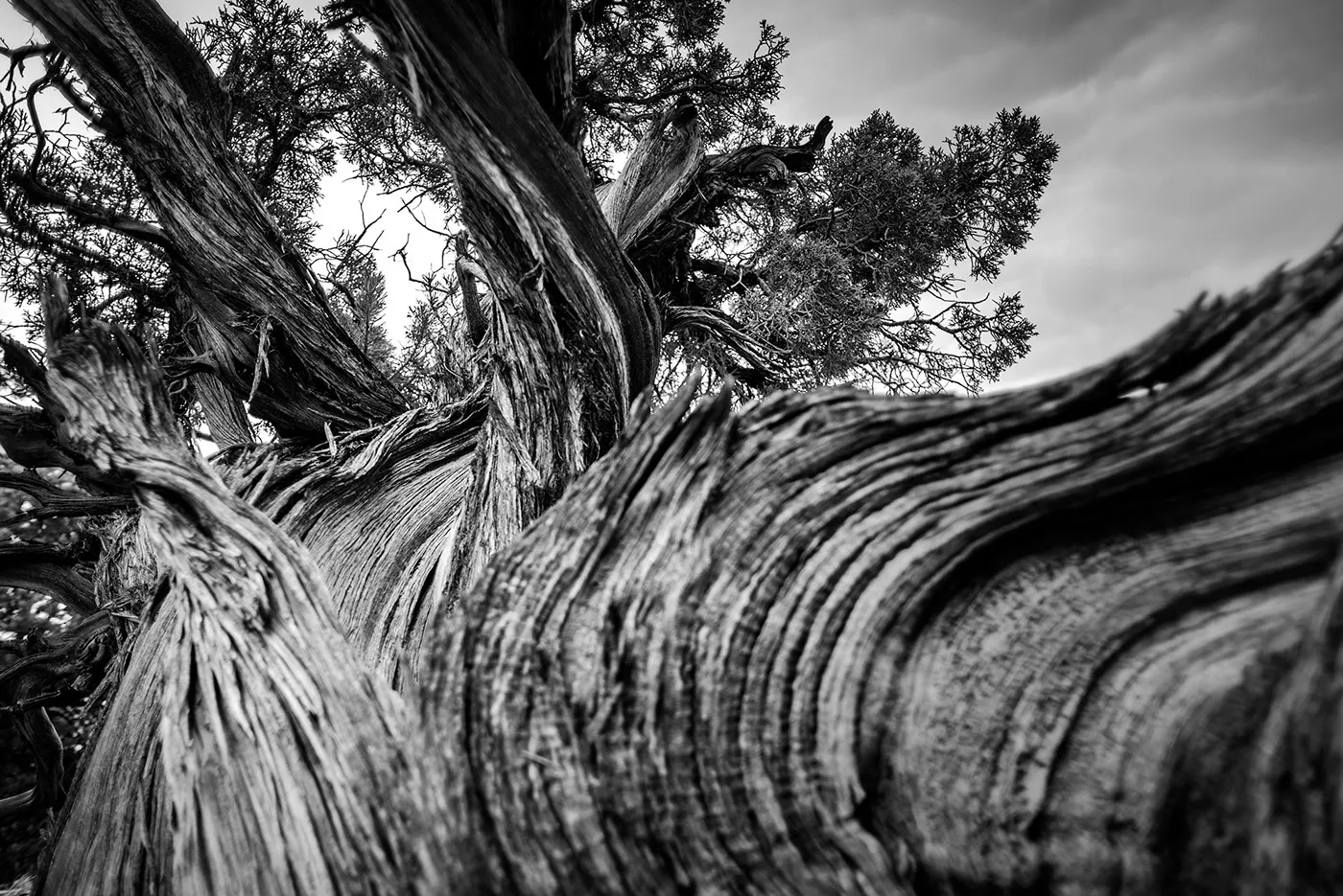 Black & white horizons - paysages de l' ouest américain en noir et blanc Black white horizons paysages de l ouest americain en noir et blanc 12 Black-white-horizons-paysages-de-l-ouest-americain-en-noir-et-blanc-11