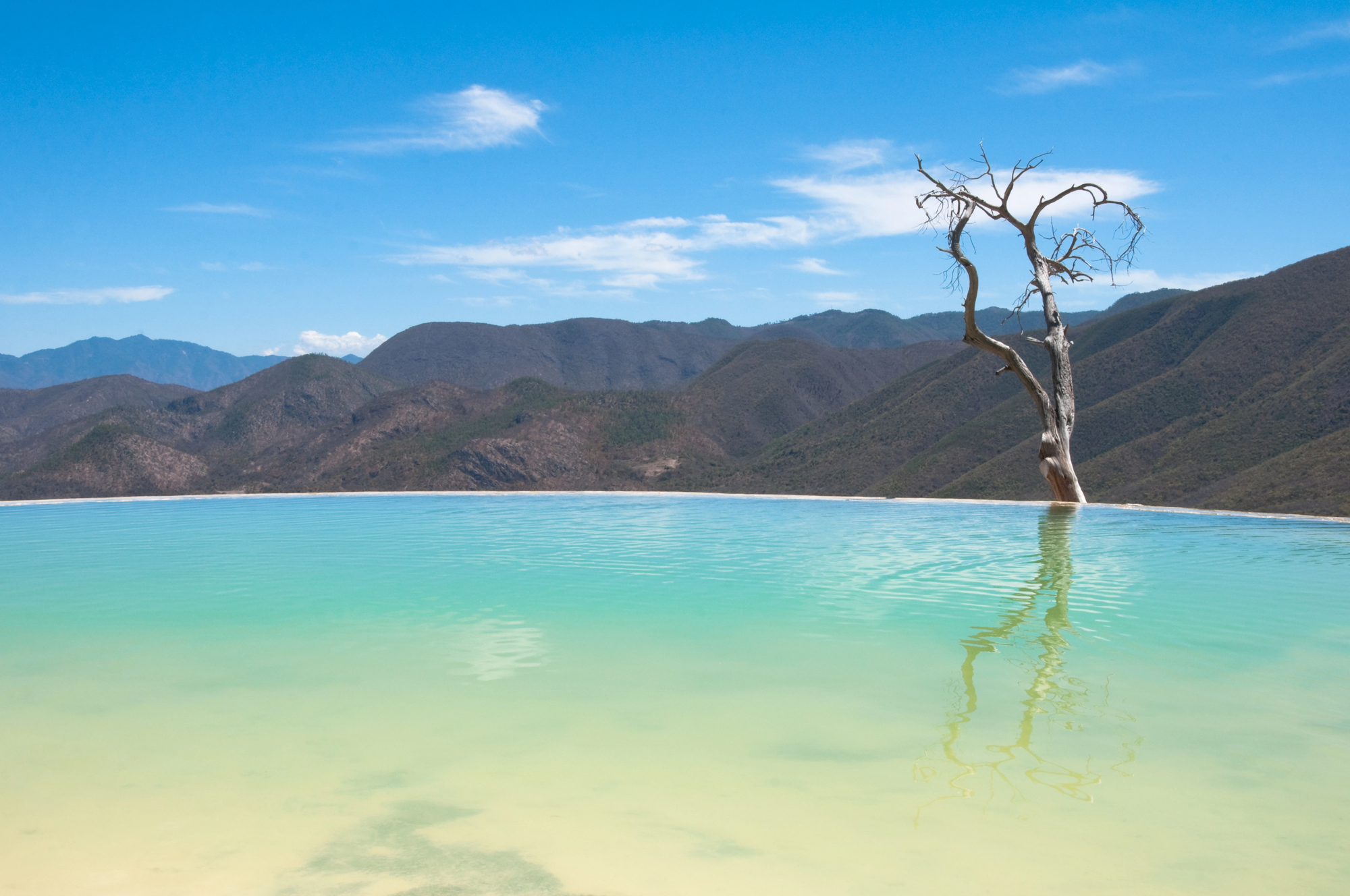 bassin arbre hierve el agua oaxaca Bassin de Hierve el Agua avec arbre et montagnes d’Oaxaca