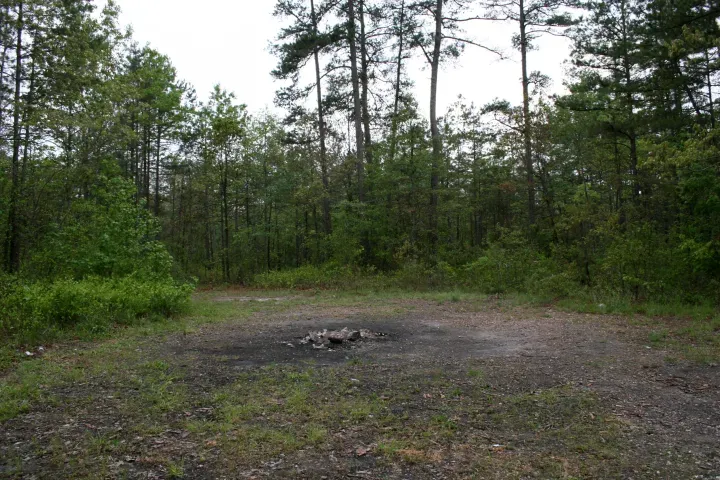 10 arbres et forêts hantés et leur légende 10 arbres et forets hantes 8 devil tramping ground bear creek caroline du nord 10-arbres-et-forets-hantes-8-devil-tramping-ground-bear-creek-caroline-du-nord