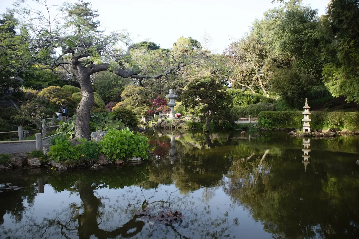 Japanese Tea Garden - un magnifique jardin japonais dans le Golden Gate Park Japanese Tea Garden un magnifique jardin japonais dans le Golden Gate Park san francisco 2 Japanese-Tea-Garden-un-magnifique-jardin-japonais-dans-le-Golden-Gate-Park-san-francisco-2.