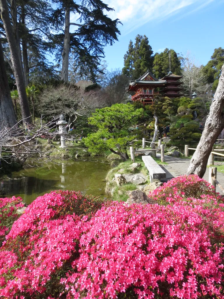 Japanese Tea Garden - un magnifique jardin japonais dans le Golden Gate Park Japanese Tea Garden un magnifique jardin japonais dans le Golden Gate Park san francisco 7 Japanese-Tea-Garden-un-magnifique-jardin-japonais-dans-le-Golden-Gate-Park-san-francisco-7.