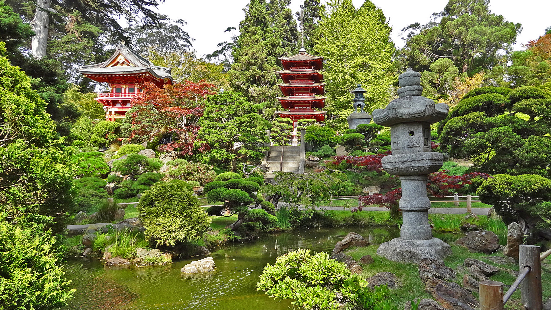 Japanese Tea Garden - un magnifique jardin japonais dans le Golden Gate Park Japanese Tea Garden un magnifique jardin japonais dans le Golden Gate Park san francisco 8 Japanese-Tea-Garden-un-magnifique-jardin-japonais-dans-le-Golden-Gate-Park-san-francisco-8