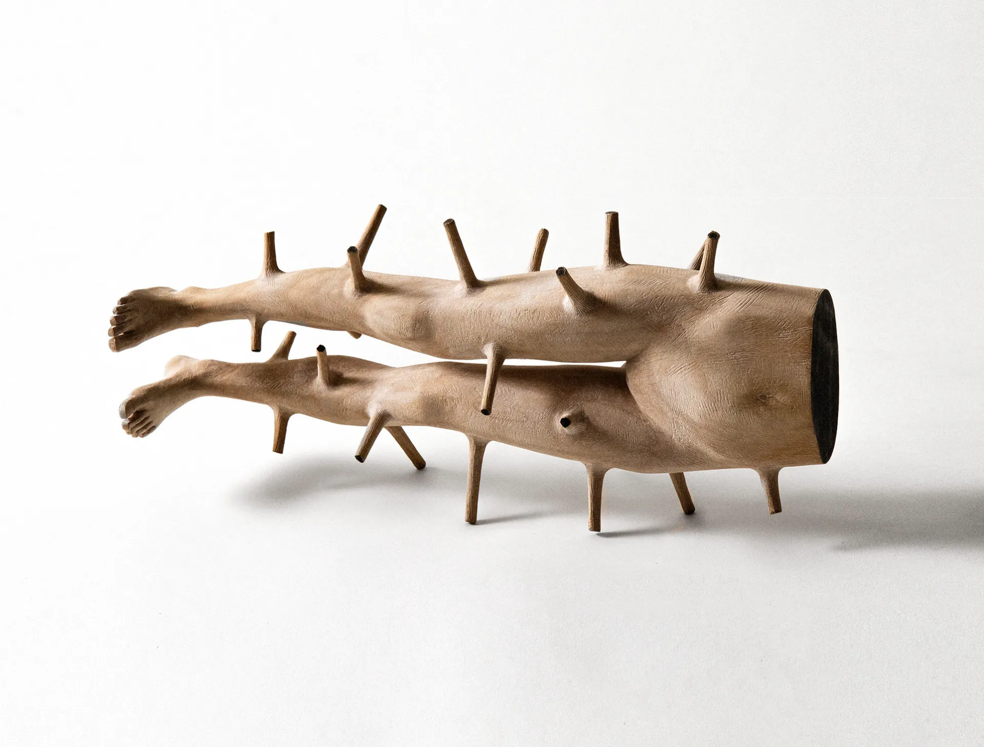 Héritage et métamorphose dans les sculptures de Andreas Senoner heritage et metamorphose dans les sculptures de Andreas Senoner 8 heritage-et-metamorphose-dans-les-sculptures-de-Andreas-Senoner-8