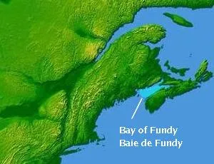 La baie de Fundy et la plus grande marée du monde la baie de fundy et la plus grande maree du monde hopewell rock 4 la-baie-de-fundy-et-la-plus-grande-maree-du-monde-hopewell-rock-4