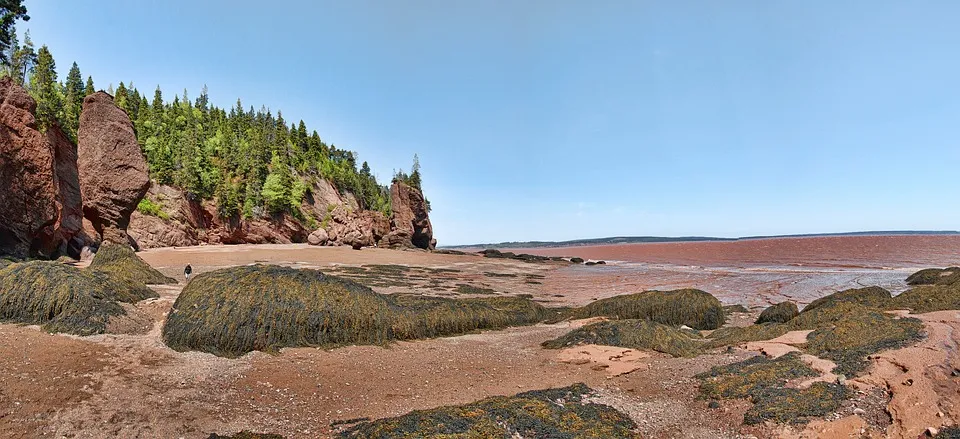 La baie de Fundy et la plus grande marée du monde la baie de fundy et la plus grande maree du monde hopewell rock 5 la-baie-de-fundy-et-la-plus-grande-maree-du-monde-hopewell-rock-5