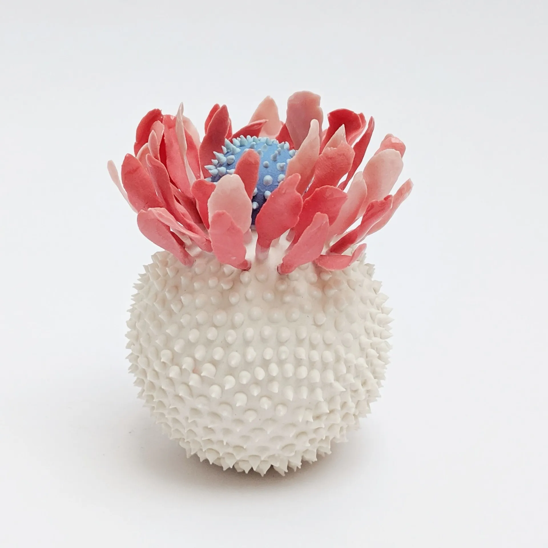 Les porcelaines piquantes et colorées de Avital les porcelaines piquantes et colorees de avital 3 les-porcelaines-piquantes-et-colorees-de-avital-3