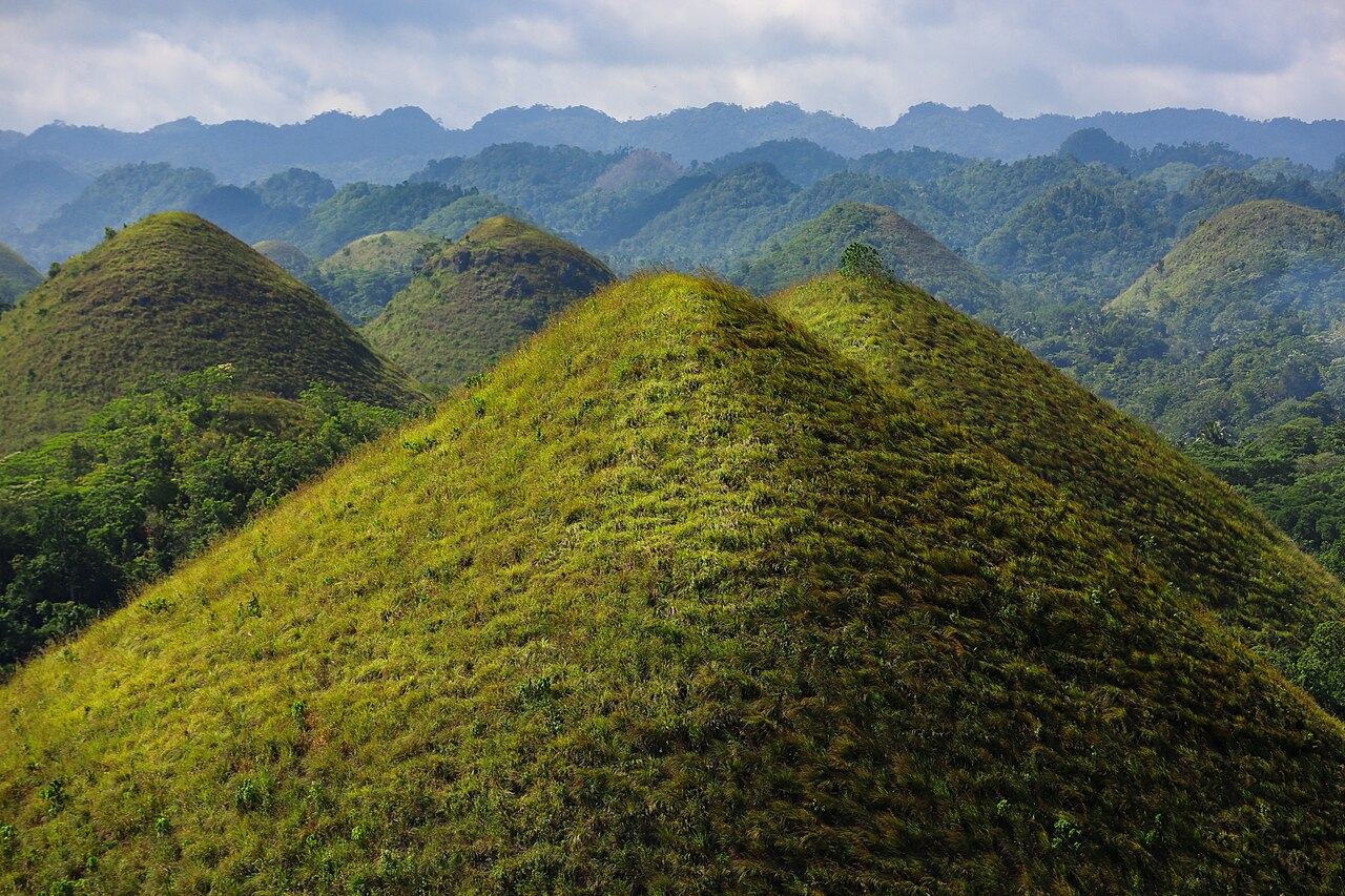 Chocolate Hills en periode humide Chocolate Hills verdoyantes pendant la saison humide à Bohol