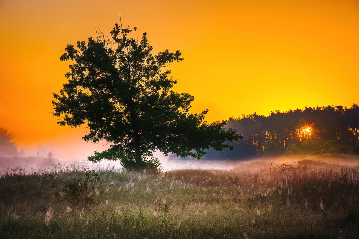 Lever de soleil sur la rivière Warta Lever de soleil sur la riviere Warta pologne 3 Lever-de-soleil-sur-la-riviere-Warta-pologne-3