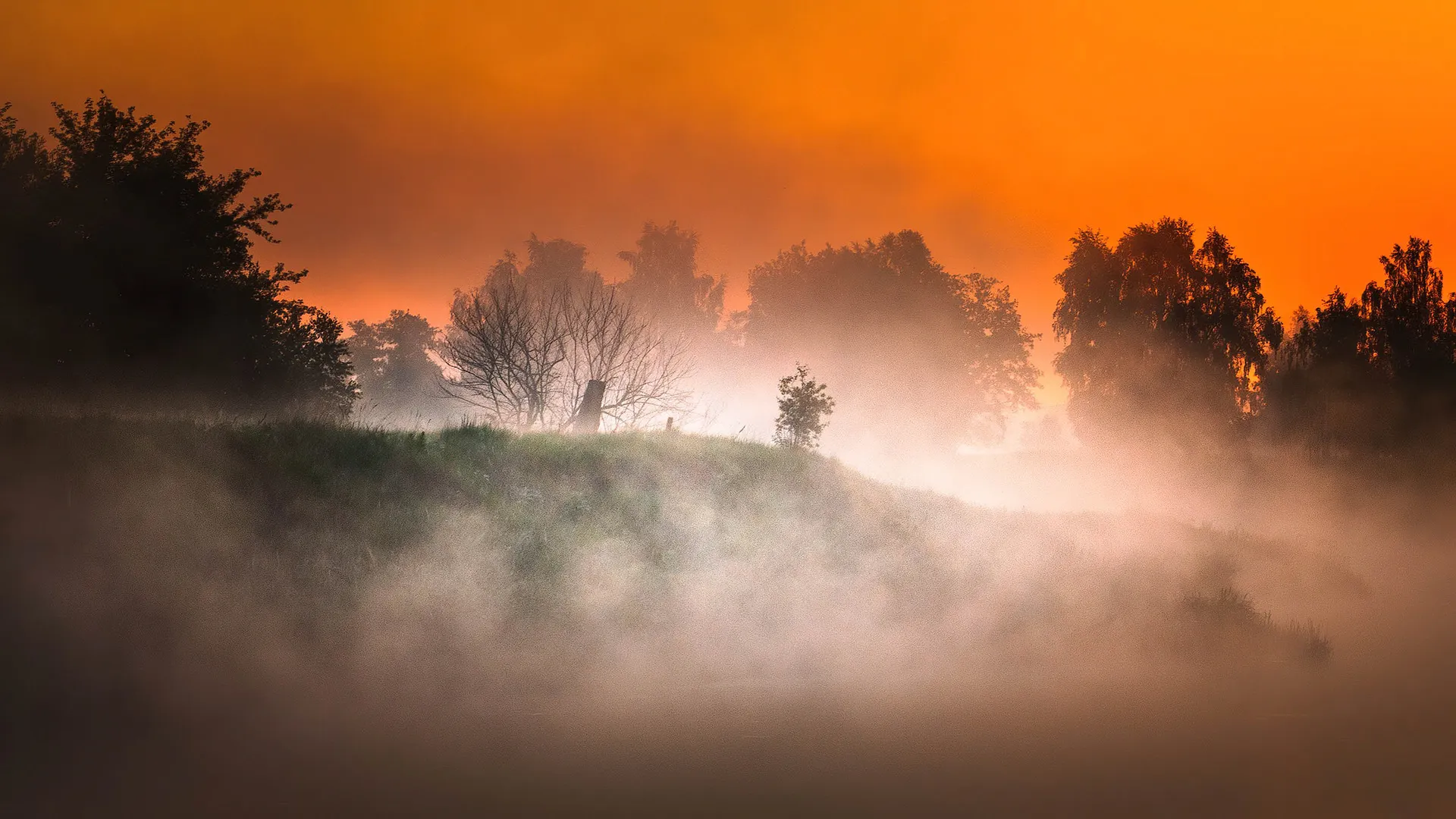 Lever de soleil sur la rivière Warta Lever de soleil sur la riviere Warta pologne 5 Lever-de-soleil-sur-la-riviere-Warta-pologne-5