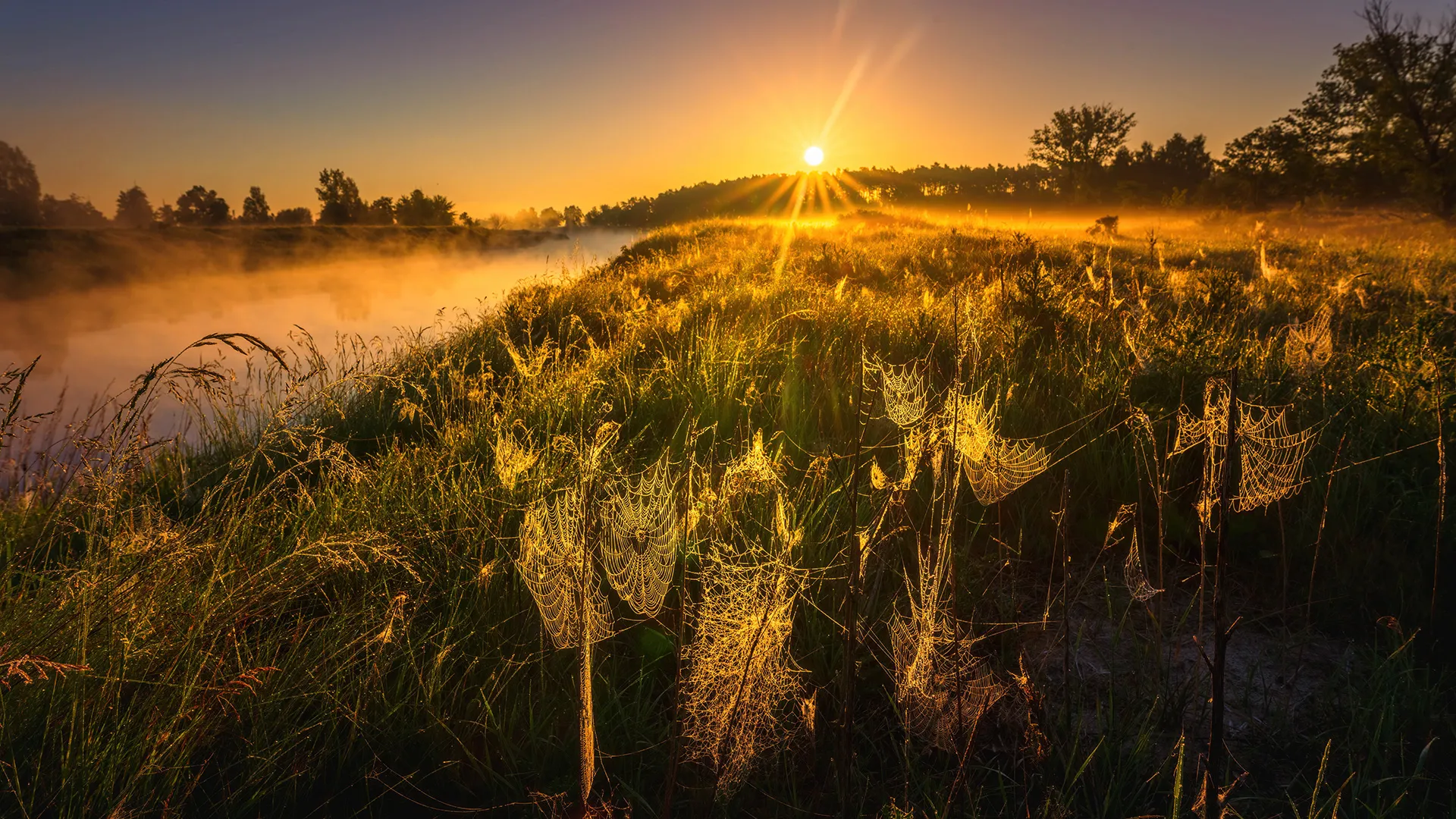 Lever de soleil sur la rivière Warta Lever de soleil sur la riviere Warta pologne 7 Lever-de-soleil-sur-la-riviere-Warta-pologne-7