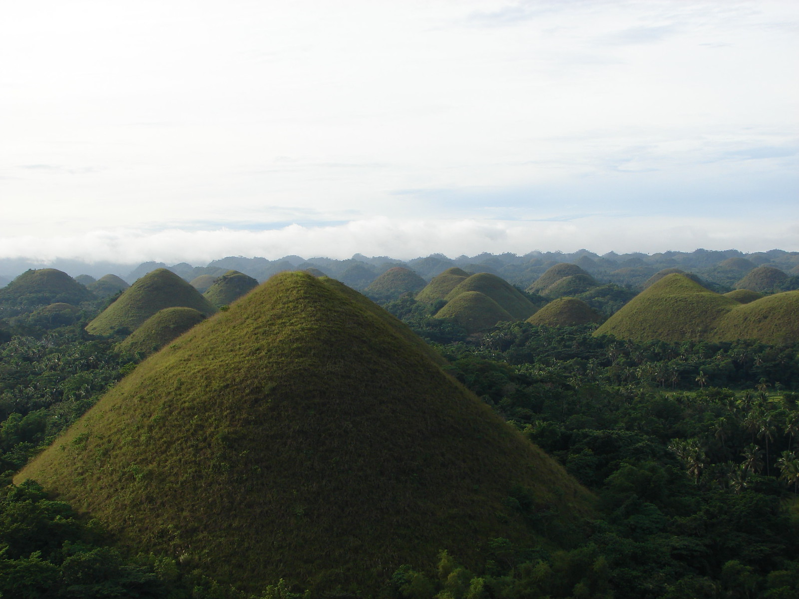 chocolate hills bohol monts chocolat Chocolate Hills sur l’île de Bohol aux Philippines