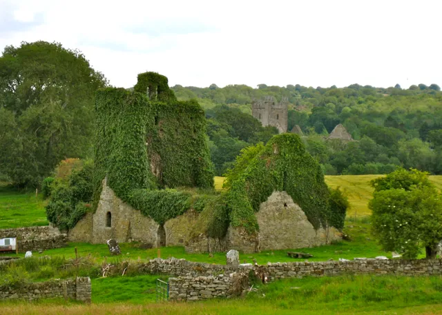 La tombe de Saint Nicolas en Irlande la tombe de saint nicolas jerpoint park irlande 2 la-tombe-de-saint-nicolas-jerpoint-park-irlande-2