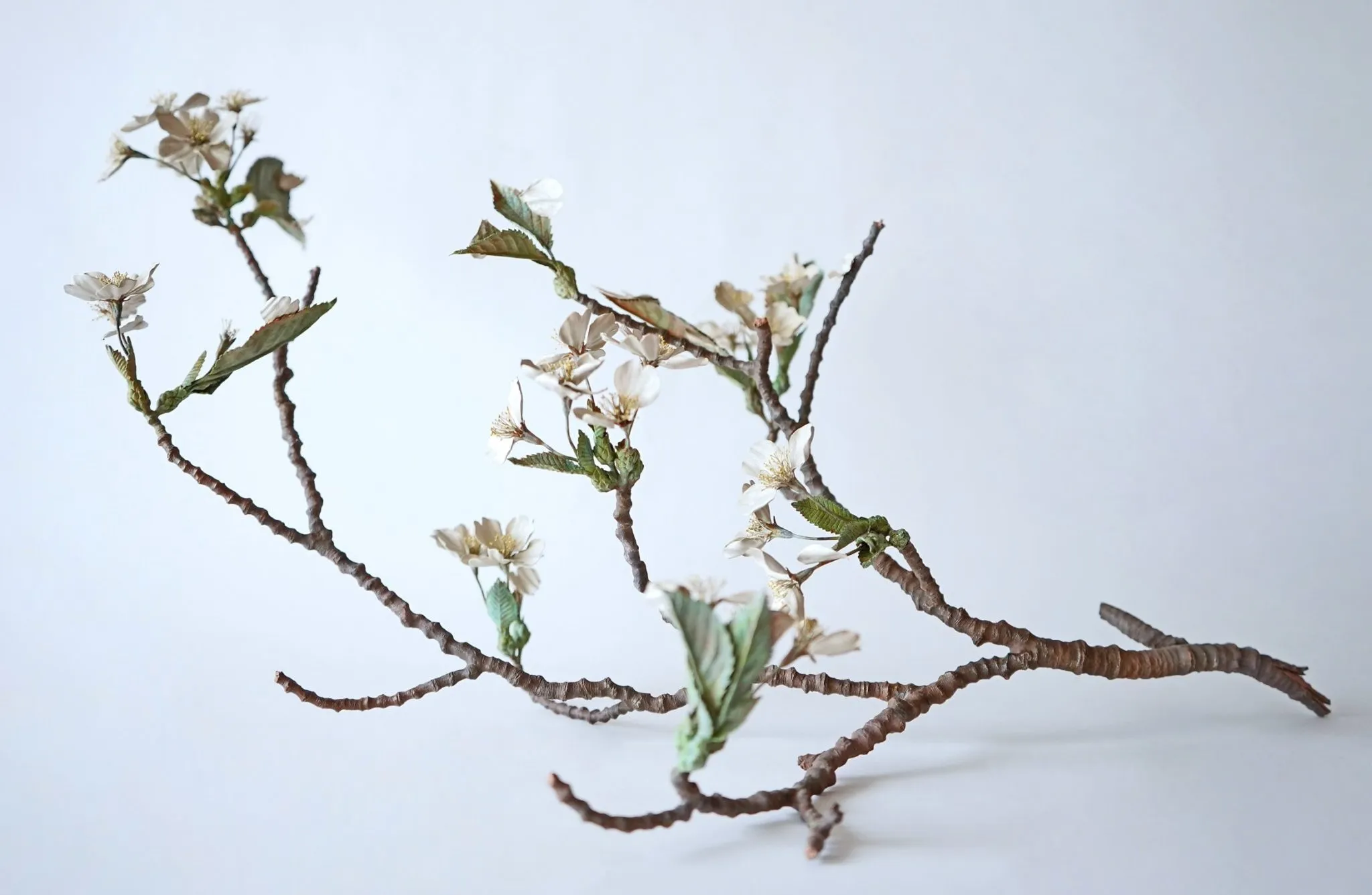 Les délicates fleurs et feuilles de métal de Shota Suzuki les delicates fleurs et feuilles de metal de shota suzuki 8 les-delicates-fleurs-et-feuilles-de-metal-de-shota-suzuki-8