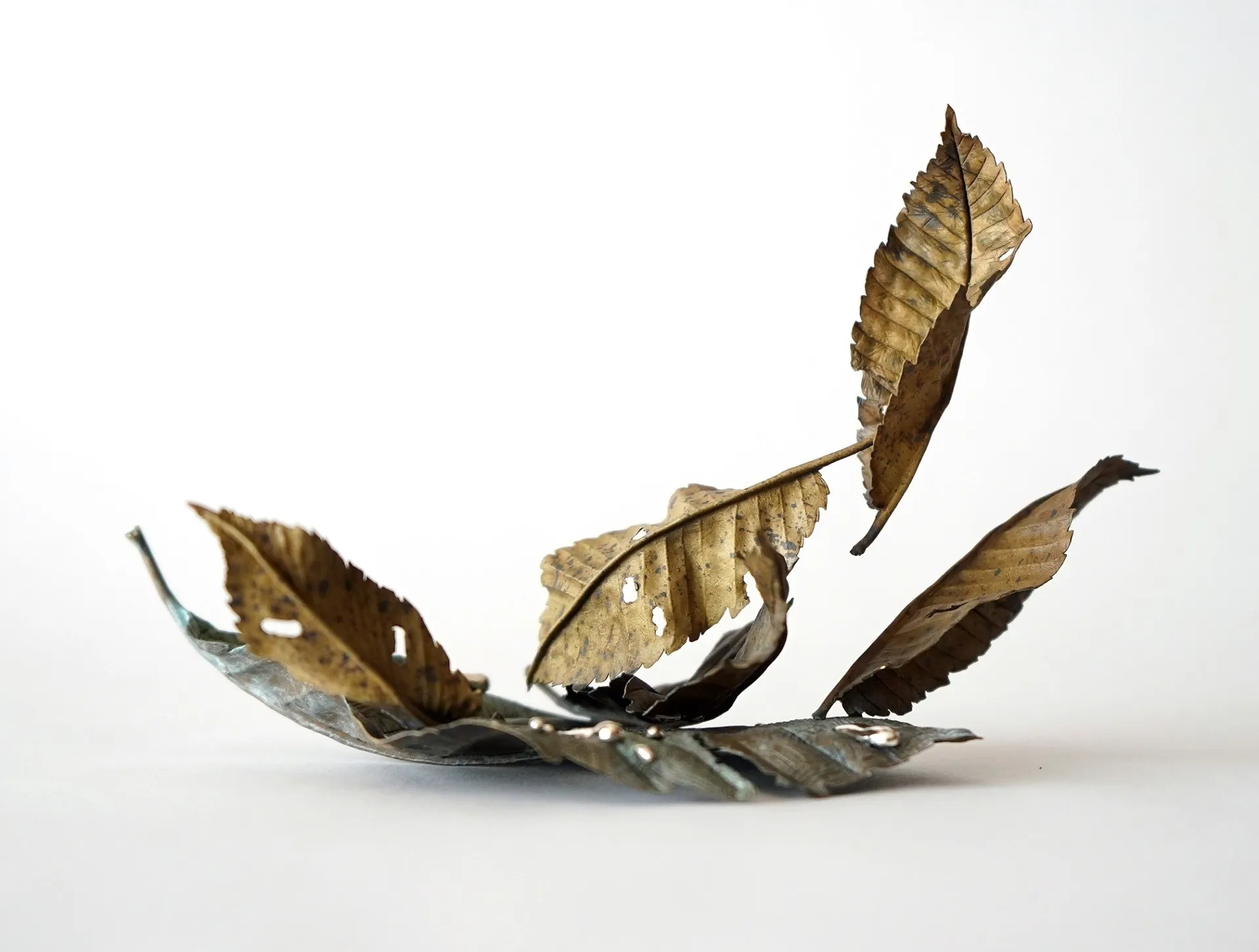 Les délicates fleurs et feuilles de métal de Shota Suzuki les delicates fleurs et feuilles de metal de shota suzuki 9 les-delicates-fleurs-et-feuilles-de-metal-de-shota-suzuki-9