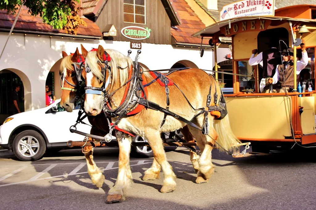Solvang, un village danois en Californie solvang un village danois en californie 12 solvang-un-village-danois-en-californie-12