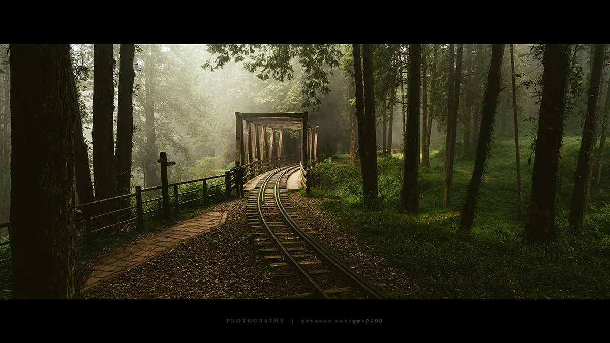 Le Shuishan Giant Tree Trail Le Shuishan Giant Tree Trail alishan taiwan 12 Le-Shuishan-Giant-Tree-Trail-alishan-taiwan-12