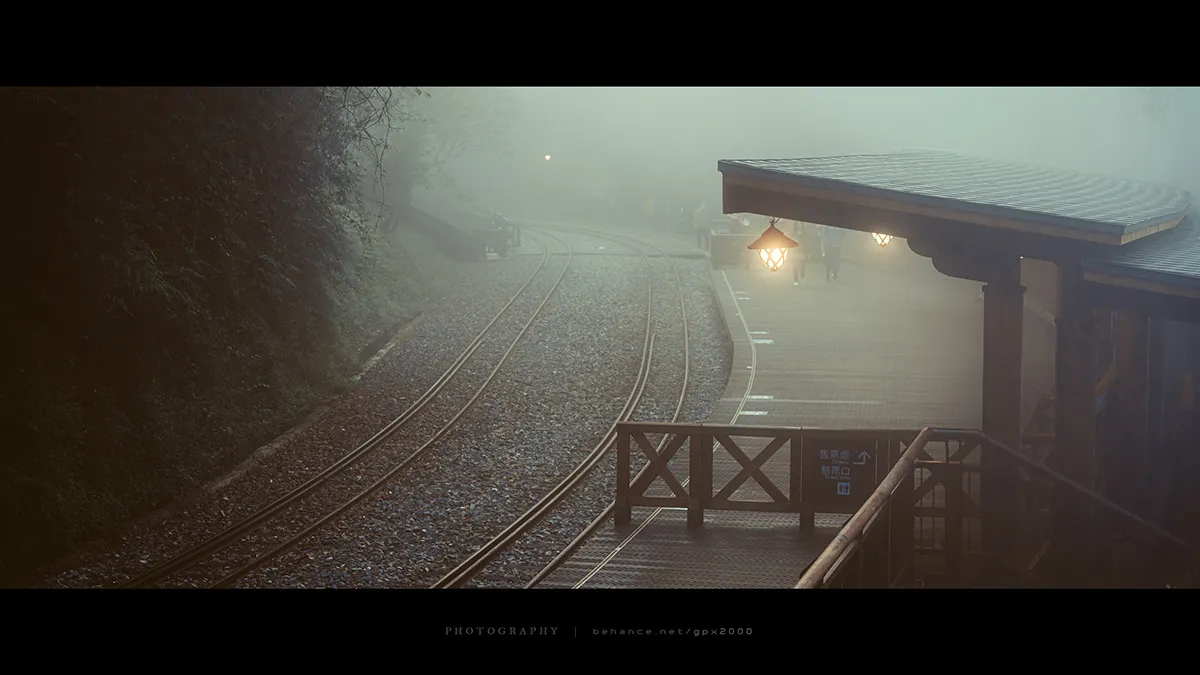 Le Shuishan Giant Tree Trail Le Shuishan Giant Tree Trail alishan taiwan 2 Le-Shuishan-Giant-Tree-Trail-alishan-taiwan-2