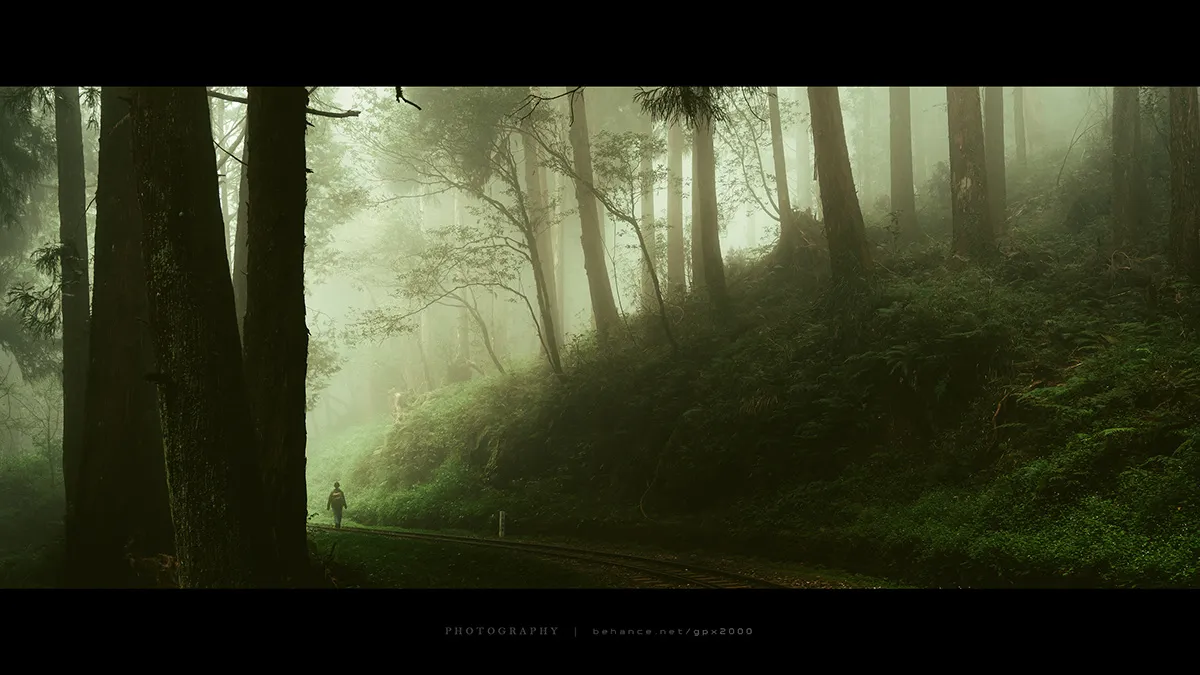 Le Shuishan Giant Tree Trail Le Shuishan Giant Tree Trail alishan taiwan 6 Le-Shuishan-Giant-Tree-Trail-alishan-taiwan-6