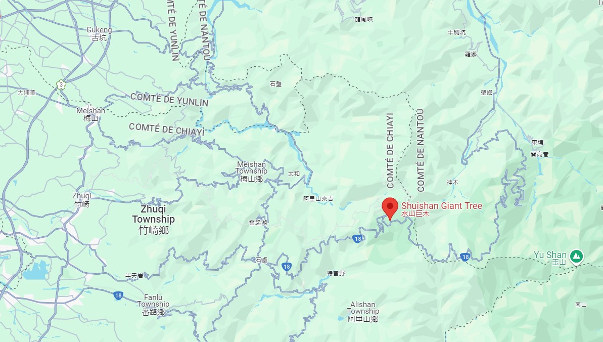 Le Shuishan Giant Tree Trail Le Shuishan Giant Tree Trail alishan taiwan maps Le-Shuishan-Giant-Tree-Trail-alishan-taiwan-maps