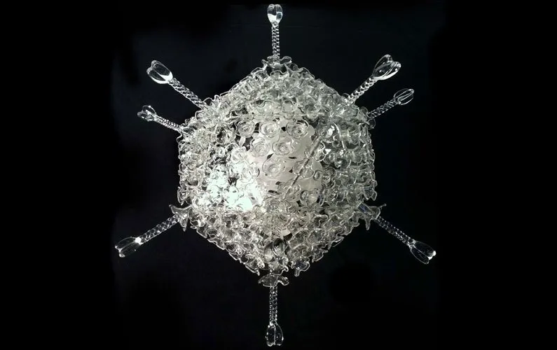 Des sculptures en verre de virus et autres éléments microbiologiques des sculptures en verre de virus et autres elements microbiologiques 6 adenovirus des-sculptures-en-verre-de-virus-et-autres-elements-microbiologiques-6-adenovirus