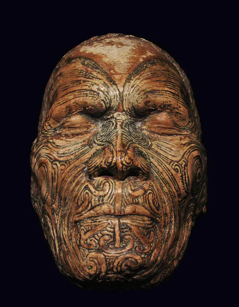Les Mokomokai, têtes tatouées coupées maories les mokomokai tetes tatouees coupees maoris 2 les-mokomokai-tetes-tatouees-coupees-maoris-2