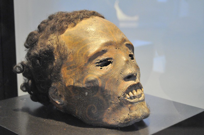 Les Mokomokai, têtes tatouées coupées maories les mokomokai tetes tatouees coupees maoris 4 les-mokomokai-tetes-tatouees-coupees-maoris-4