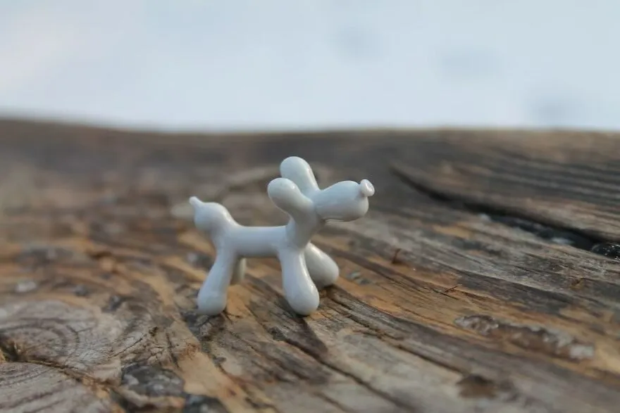 De petits chiens en ballons de verre de petits chiens en ballons de verre 11 de-petits-chiens-en-ballons-de-verre-11