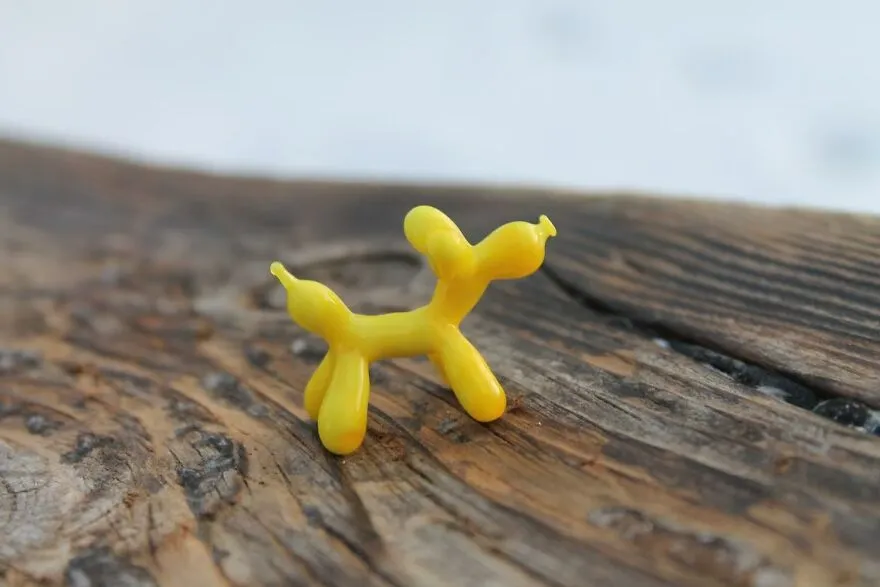 De petits chiens en ballons de verre de petits chiens en ballons de verre 9 de-petits-chiens-en-ballons-de-verre-9