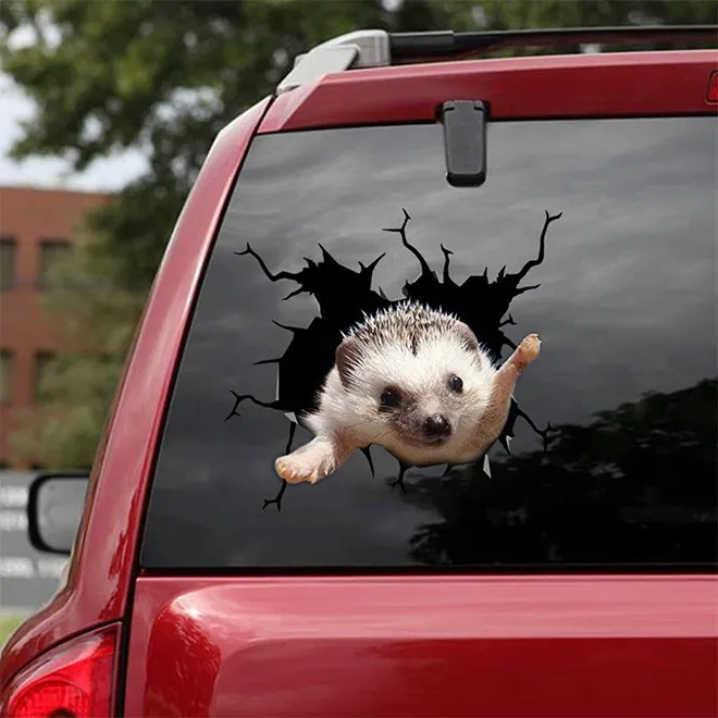 Des stickers bris de pare-brise par des animaux des stickers bris de parebrise par des animaux 2 herisson des-stickers-bris-de-parebrise-par-des-animaux-2-herisson.