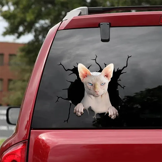 Des stickers bris de pare-brise par des animaux des stickers bris de parebrise par des animaux 3 chat des-stickers-bris-de-parebrise-par-des-animaux-3-chat-sphynx