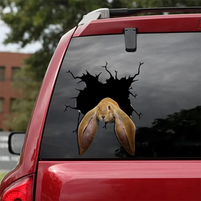 Des stickers bris de pare-brise par des animaux des stickers bris de parebrise par des animaux 6 lapin des-stickers-bris-de-parebrise-par-des-animaux-6-lapin