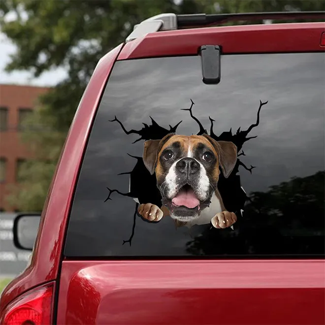 Des stickers bris de pare-brise par des animaux des stickers bris de parebrise par des animaux 8 des-stickers-bris-de-parebrise-par-des-animaux-8-boxer