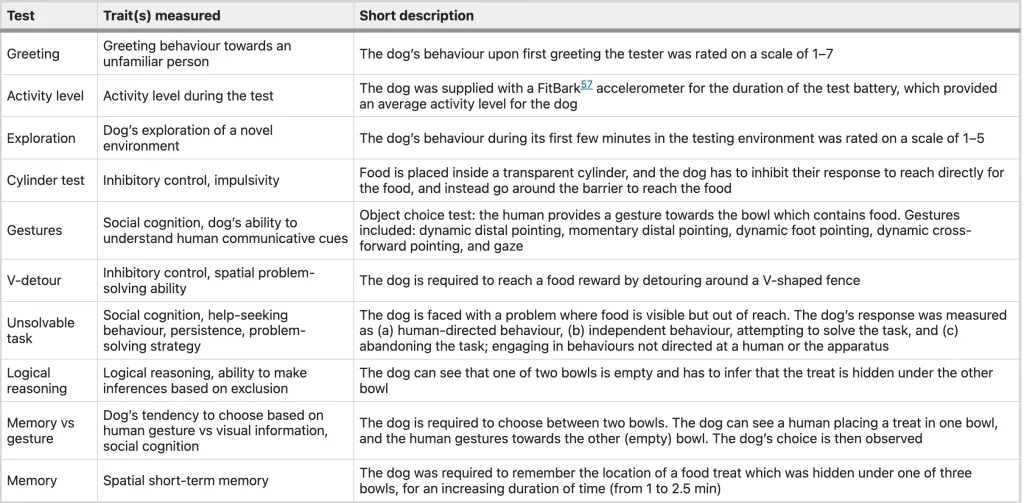Une étude identifie la race des chiens les plus intelligents une etude identifie la race des chiens les plus intelligents 2 une-etude-identifie-la-race-des-chiens-les-plus-intelligents-2