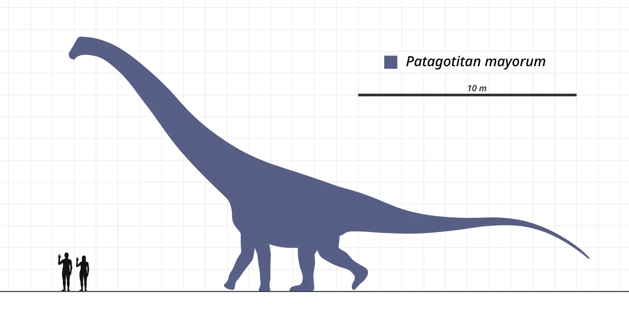 comparaison de taille de Patagotitan mayorum avec deux humains comparaison de taille de Patagotitan mayorum avec deux humains