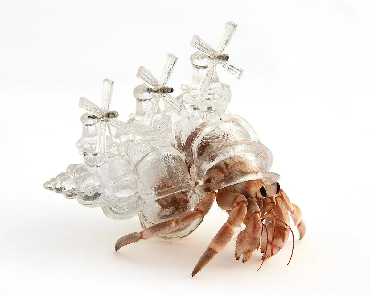 Des coquilles architecturales en résine pour bernard-l'ermite des coquilles architecturales en resine pour bernard lermite aki inomata 2 des-coquilles-architecturales-en-resine-pour-bernard-lermite-aki-inomata-2