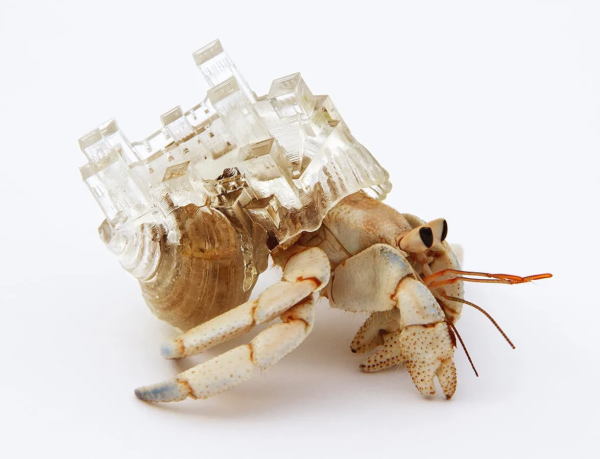 Des coquilles architecturales en résine pour bernard-l'ermite des coquilles architecturales en resine pour bernard lermite aki inomata 8 des-coquilles-architecturales-en-resine-pour-bernard-lermite-aki-inomata-8