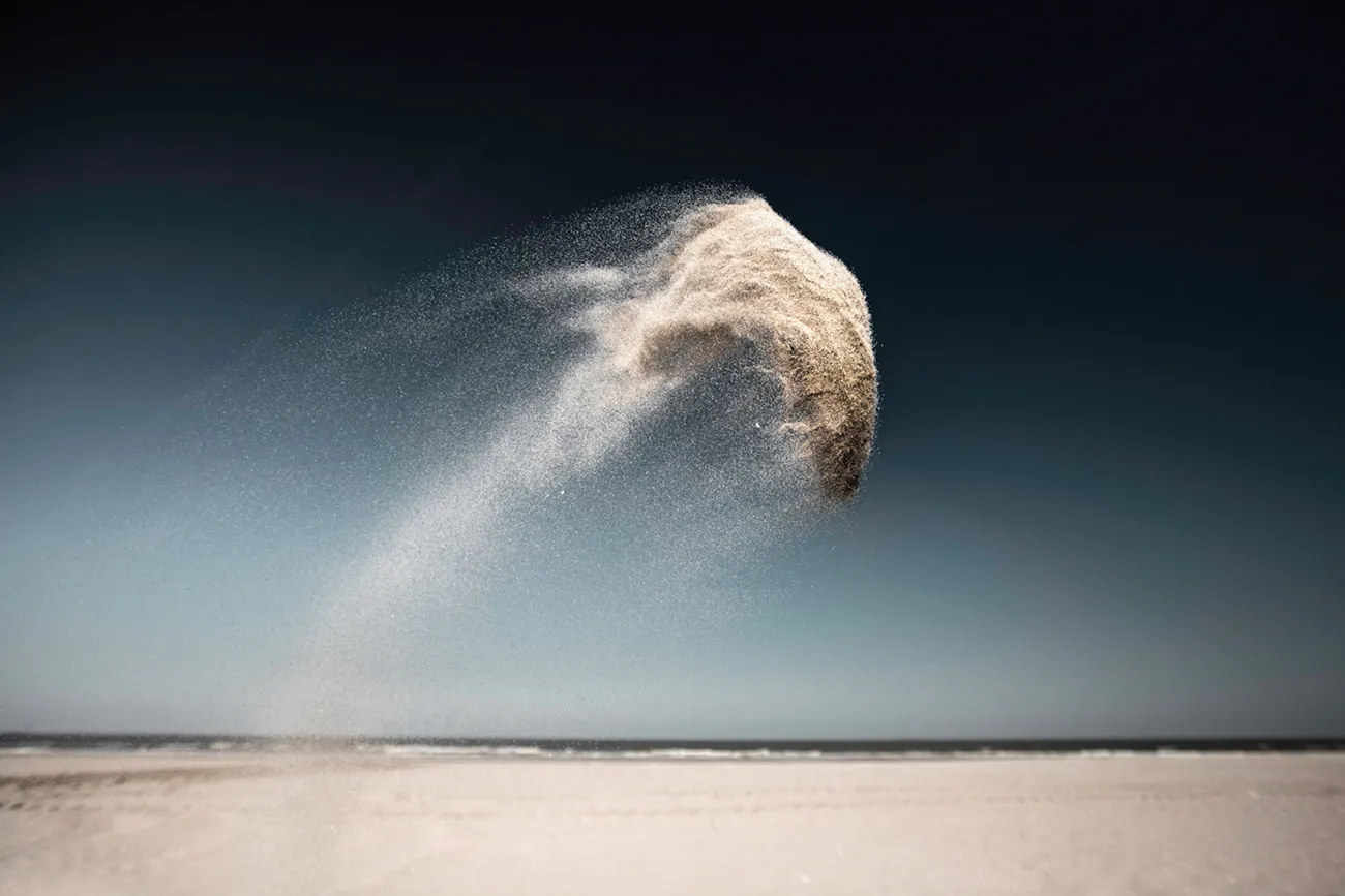 Des créatures de sable très éphémères des creatures de sable tres ephemeres claire droppert 5 dauphin des-creatures-de-sable-tres-ephemeres-claire-droppert-5-dauphin.