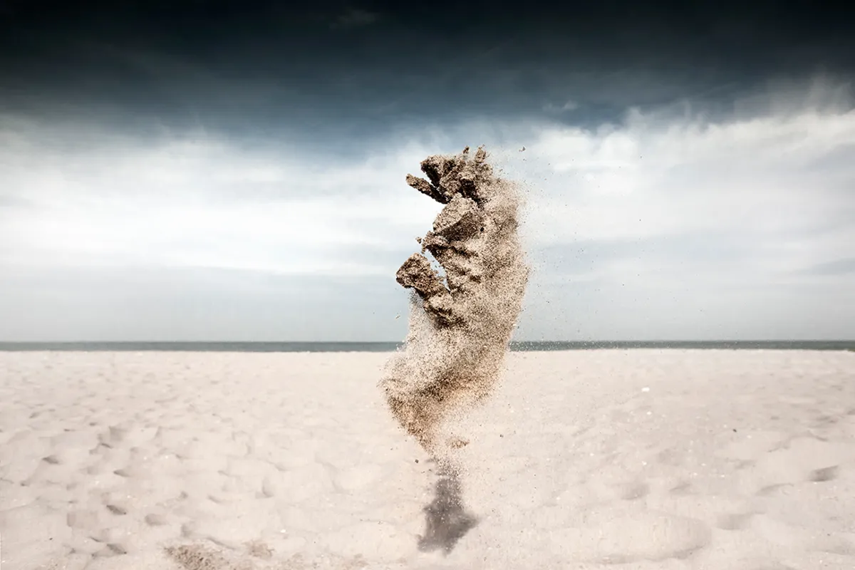 Des créatures de sable très éphémères des creatures de sable tres ephemeres claire droppert 7 lezard des-creatures-de-sable-tres-ephemeres-claire-droppert-7-lezard