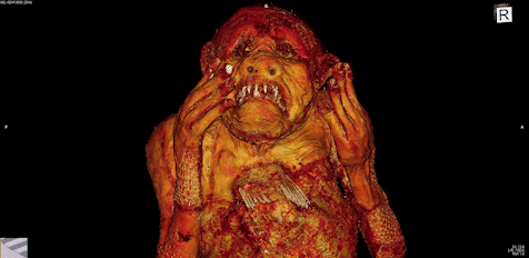 Le mystère de la momie sirène résolu le mystere de la momie sirene resolu enju in asakuchi japon ningyo 6 le-mystere-de-la-momie-sirene-resolu-enju-in-asakuchi-japon-ningyo-6