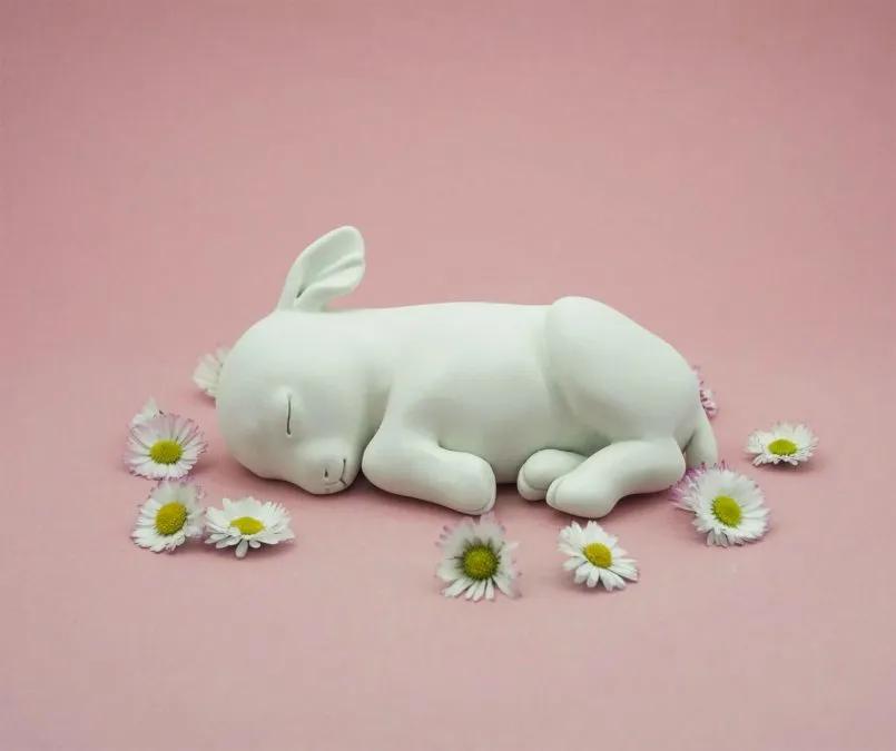 Les créatures étranges de Clémentine Bal les creatures etranges de clementine bal 15 les-creatures-etranges-de-clementine-bal-15