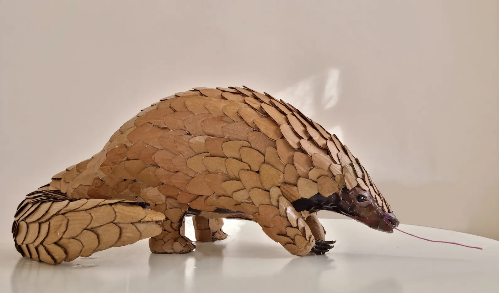 Les portraits d' animaux en carton de Josh Gluckstein les portraits d animaux en carton de josh gluckstein 6 pangolin les-portraits-d-animaux-en-carton-de-josh-gluckstein-6-pangolin.