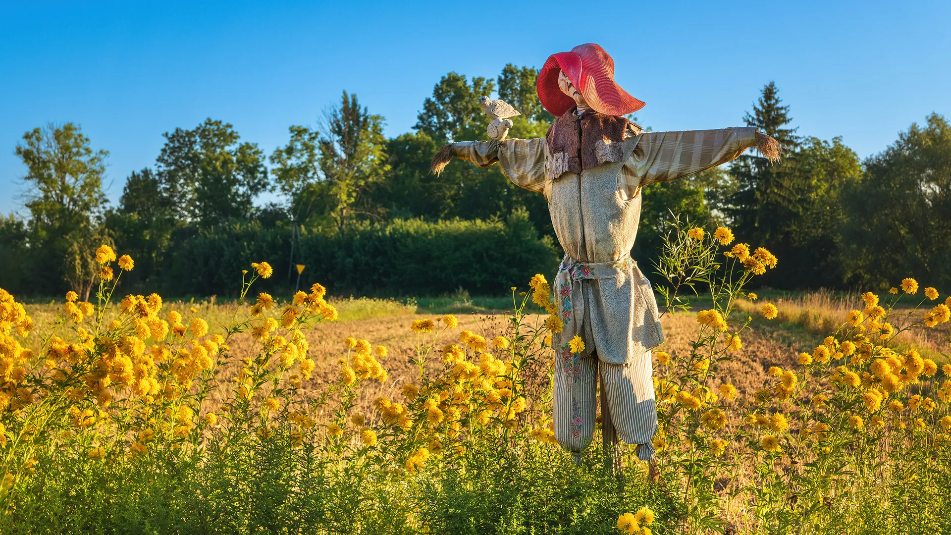 Quelques clichés de Zalipie par Michał Skarbiński quelques cliches de zalipie par michal skarbinski 14 quelques-cliches-de-zalipie-par-michal-skarbinski-14