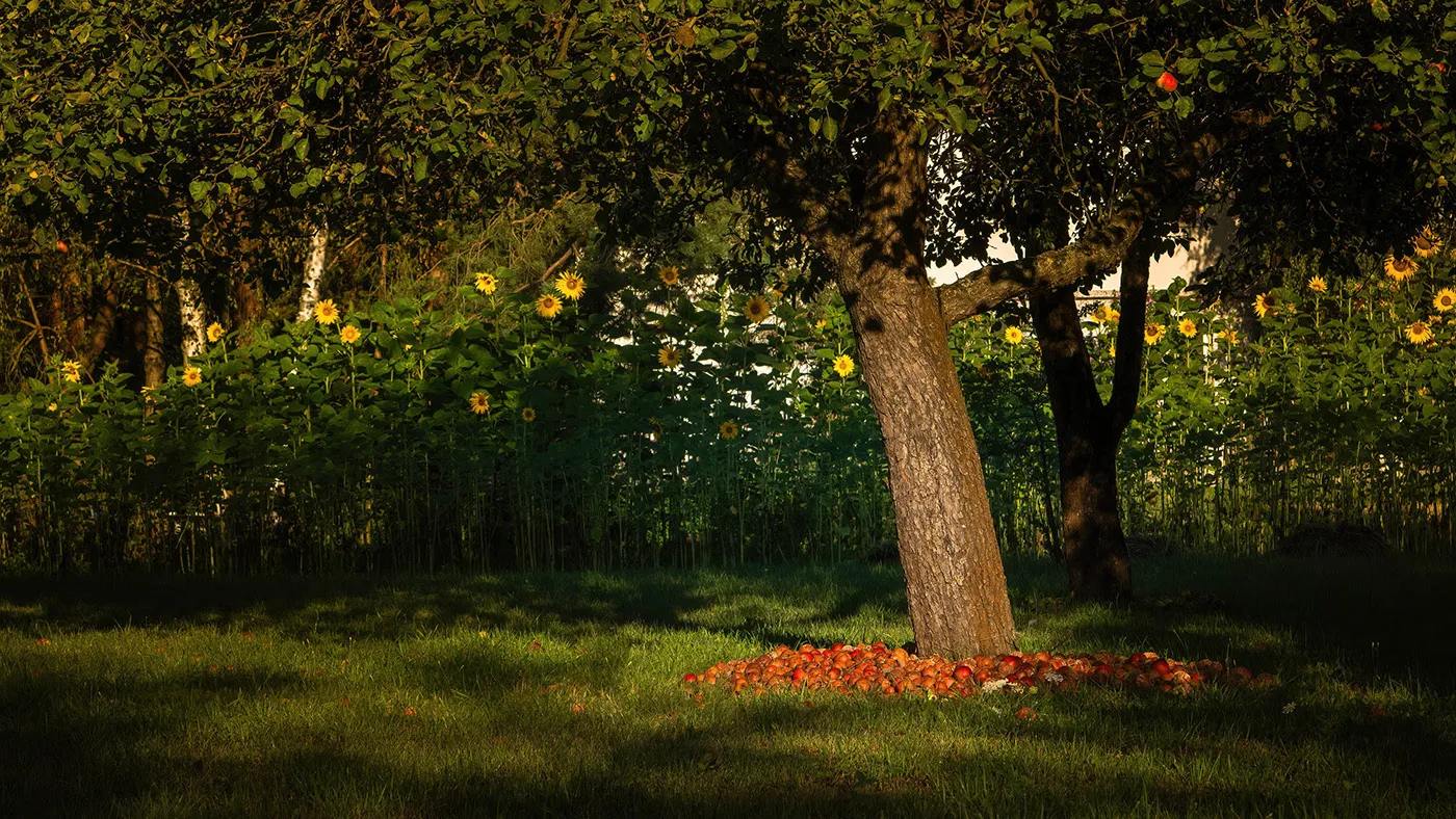 Quelques clichés de Zalipie par Michał Skarbiński quelques cliches de zalipie par michal skarbinski 17 quelques-cliches-de-zalipie-par-michal-skarbinski-17