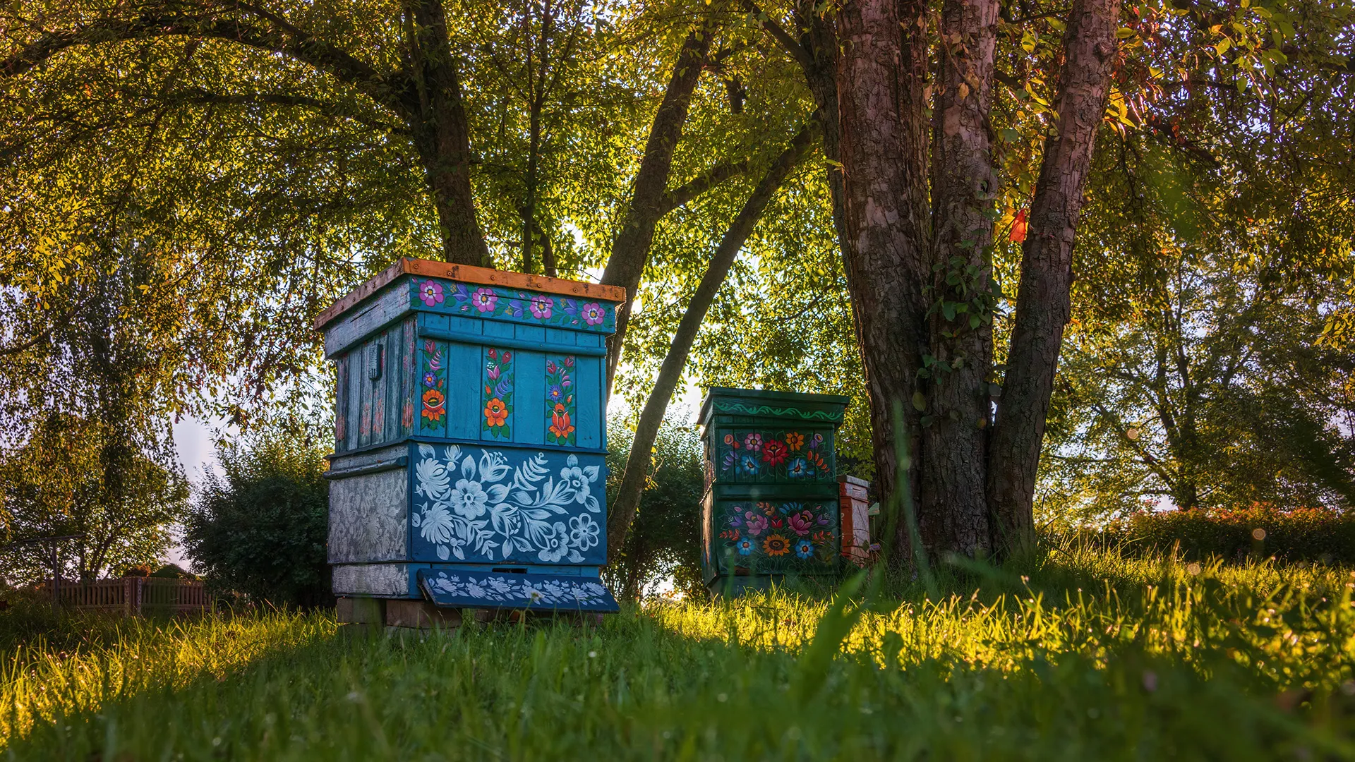 Quelques clichés de Zalipie par Michał Skarbiński quelques cliches de zalipie par michal skarbinski 6 quelques-cliches-de-zalipie-par-michal-skarbinski-6