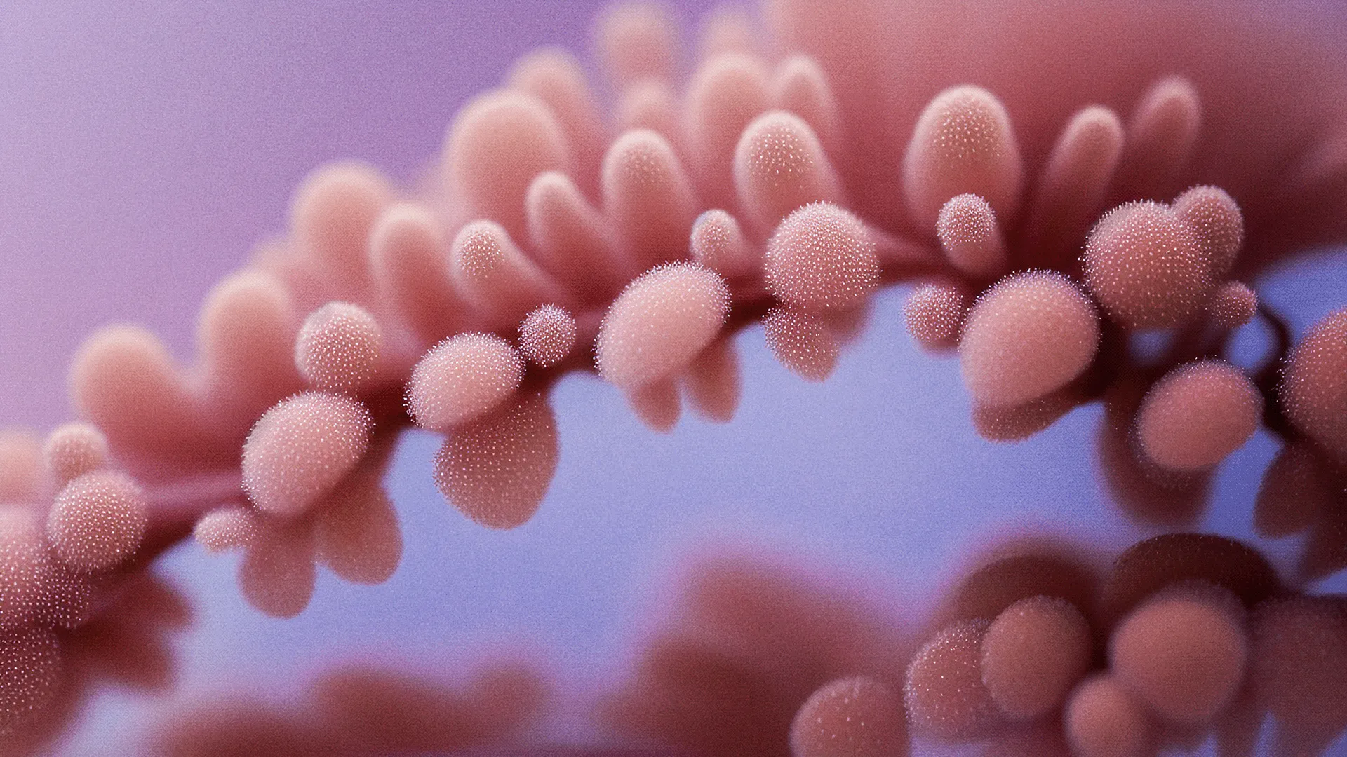 Unnatural World - des végétaux et des éléments surréalistes unnatural world des vegetaux et des elements surrealistes 12 unnatural-world-des-vegetaux-et-des-elements-surrealistes-12