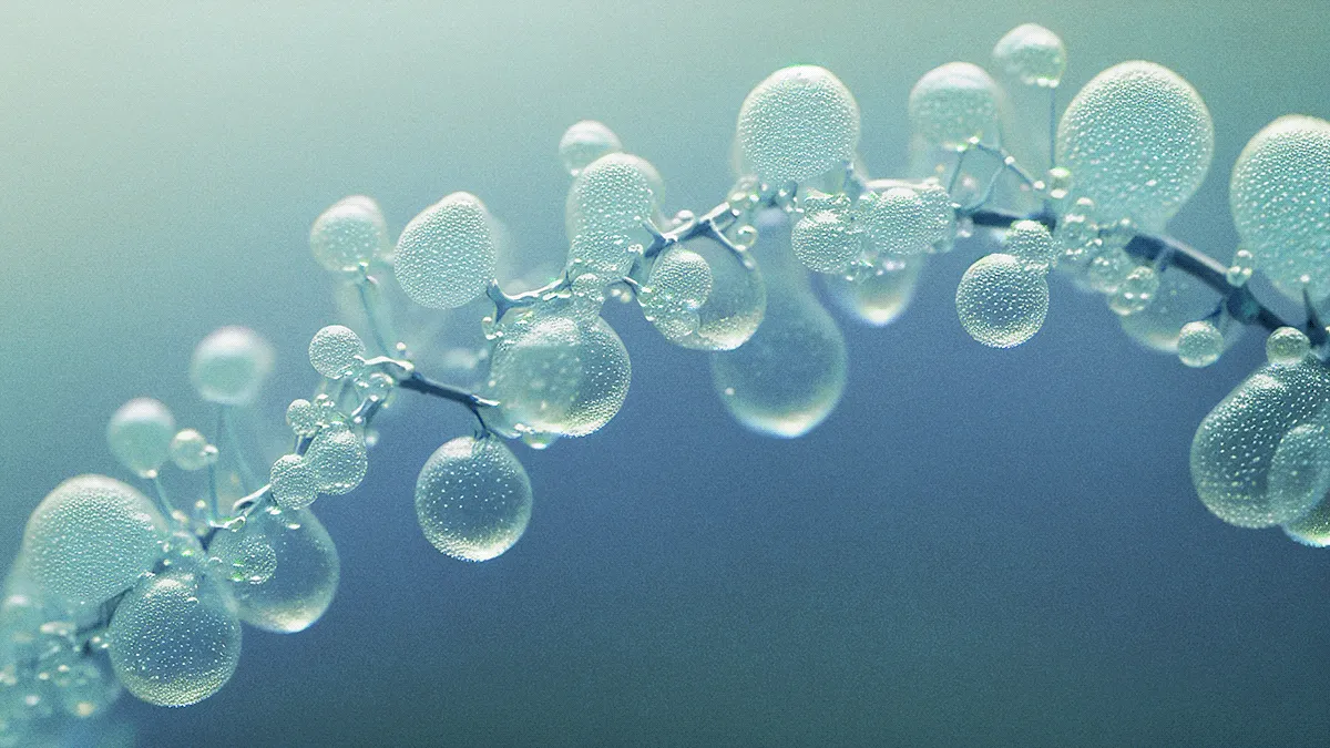 Unnatural World - des végétaux et des éléments surréalistes unnatural world des vegetaux et des elements surrealistes 4 unnatural-world-des-vegetaux-et-des-elements-surrealistes-4