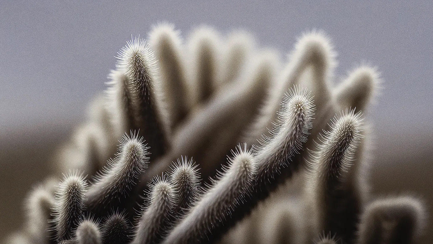 Unnatural World - des végétaux et des éléments surréalistes unnatural world des vegetaux et des elements surrealistes 8 unnatural-world-des-vegetaux-et-des-elements-surrealistes-8