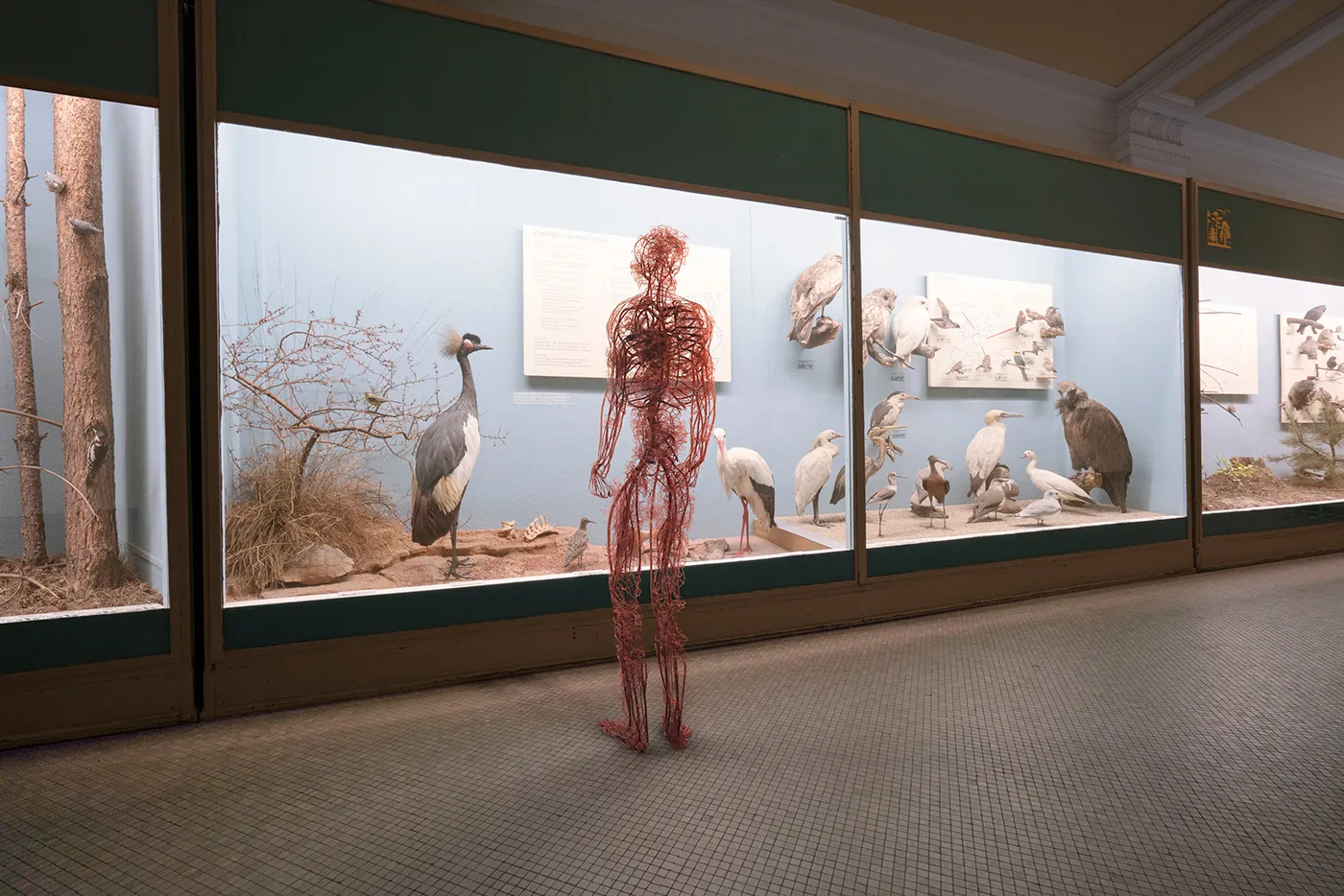 La fragilité d'un humain de veines et d'artères la fragilite dun humain de veines et darteres human after all 5 la-fragilite-dun-humain-de-veines-et-darteres-human-after-all-5