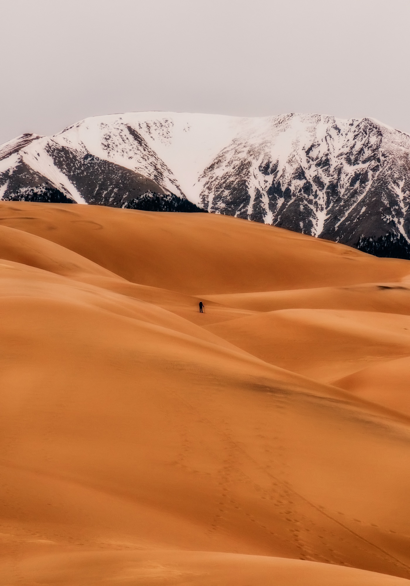 Les plus grandes dunes de sable d'Amérique du nord sont au Great Sand Dunes National Park les plus grandes dunes de sable damerique du nord sont au great sand dunes national park 1 1 les-plus-grandes-dunes-de-sable-damerique-du-nord-sont-au-great-sand-dunes-national-park-1-1