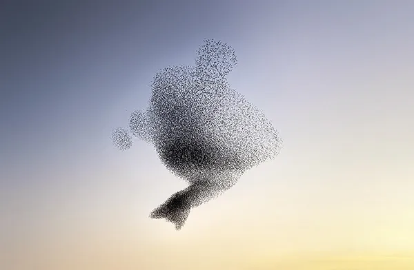 Des créatures formées par les murmurations d'étourneaux des creatures formees par les murmurations d etourneaux 6 des-creatures-formees-par-les-murmurations-d-etourneaux-6